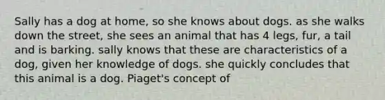 Sally has a dog at home, so she knows about dogs. as she walks down the street, she sees an animal that has 4 legs, fur, a tail and is barking. sally knows that these are characteristics of a dog, given her knowledge of dogs. she quickly concludes that this animal is a dog. Piaget's concept of