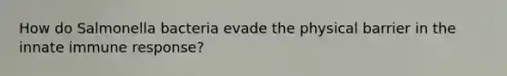 How do Salmonella bacteria evade the physical barrier in the innate immune response?