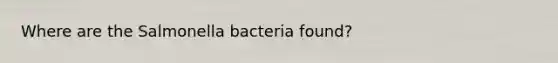 Where are the Salmonella bacteria found?