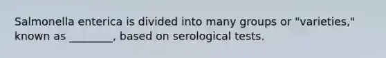 Salmonella enterica is divided into many groups or "varieties," known as ________, based on serological tests.