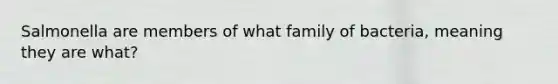 Salmonella are members of what family of bacteria, meaning they are what?