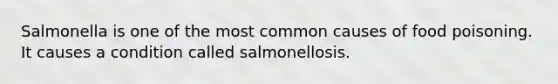 Salmonella is one of the most common causes of food poisoning. It causes a condition called salmonellosis.