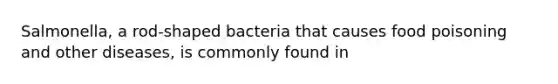 Salmonella, a rod-shaped bacteria that causes food poisoning and other diseases, is commonly found in