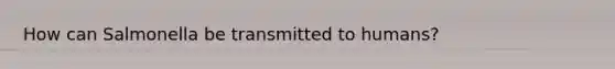 How can Salmonella be transmitted to humans?
