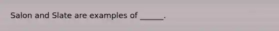 Salon and Slate are examples of ______.