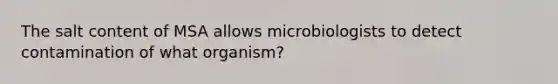 The salt content of MSA allows microbiologists to detect contamination of what organism?