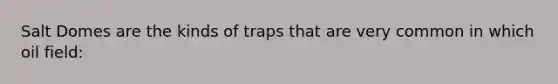 Salt Domes are the kinds of traps that are very common in which oil field: