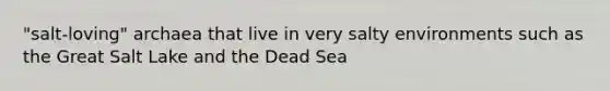 "salt-loving" archaea that live in very salty environments such as the Great Salt Lake and the Dead Sea