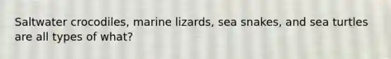 Saltwater crocodiles, marine lizards, sea snakes, and sea turtles are all types of what?