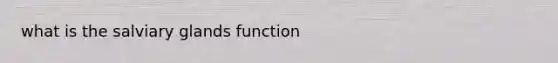 what is the salviary glands function