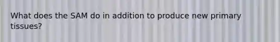 What does the SAM do in addition to produce new primary tissues?