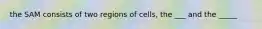 the SAM consists of two regions of cells, the ___ and the _____