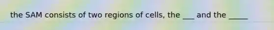 the SAM consists of two regions of cells, the ___ and the _____