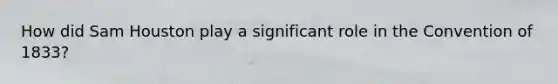How did Sam Houston play a significant role in the Convention of 1833?