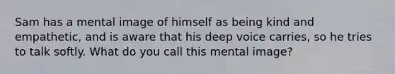 Sam has a mental image of himself as being kind and empathetic, and is aware that his deep voice carries, so he tries to talk softly. What do you call this mental image?