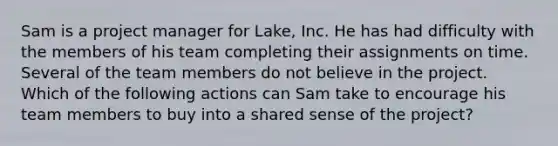 Sam is a project manager for Lake, Inc. He has had difficulty with the members of his team completing their assignments on time. Several of the team members do not believe in the project. Which of the following actions can Sam take to encourage his team members to buy into a shared sense of the project?