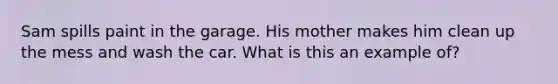 Sam spills paint in the garage. His mother makes him clean up the mess and wash the car. What is this an example of?