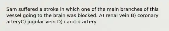 Sam suffered a stroke in which one of the main branches of this vessel going to the brain was blocked. A) renal vein B) coronary arteryC) jugular vein D) carotid artery