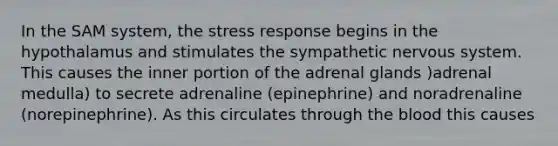 In the SAM system, the stress response begins in the hypothalamus and stimulates the sympathetic nervous system. This causes the inner portion of the adrenal glands )adrenal medulla) to secrete adrenaline (epinephrine) and noradrenaline (norepinephrine). As this circulates through the blood this causes