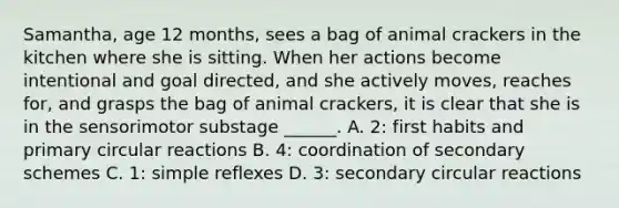 Samantha, age 12 months, sees a bag of animal crackers in the kitchen where she is sitting. When her actions become intentional and goal directed, and she actively moves, reaches for, and grasps the bag of animal crackers, it is clear that she is in the sensorimotor substage ______. A. 2: first habits and primary circular reactions B. 4: coordination of secondary schemes C. 1: simple reflexes D. 3: secondary circular reactions