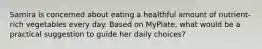 Samira is concerned about eating a healthful amount of nutrient-rich vegetables every day. Based on MyPlate, what would be a practical suggestion to guide her daily choices?