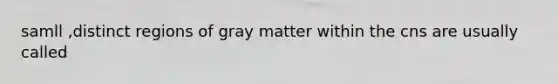 samll ,distinct regions of gray matter within the cns are usually called