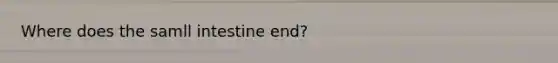 Where does the samll intestine end?