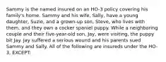 Sammy is the named insured on an HO-3 policy covering his family's home. Sammy and his wife, Sally, have a young daughter, Suzie, and a grown-up son, Steve, who lives with them, and they own a cocker spaniel puppy. While a neighboring couple and their five-year-old son, Jay, were visiting, the puppy bit Jay. Jay suffered a serious wound and his parents sued Sammy and Sally. All of the following are insureds under the HO-3, EXCEPT: