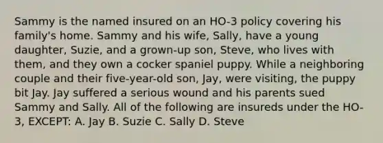 Sammy is the named insured on an HO-3 policy covering his family's home. Sammy and his wife, Sally, have a young daughter, Suzie, and a grown-up son, Steve, who lives with them, and they own a cocker spaniel puppy. While a neighboring couple and their five-year-old son, Jay, were visiting, the puppy bit Jay. Jay suffered a serious wound and his parents sued Sammy and Sally. All of the following are insureds under the HO-3, EXCEPT: A. Jay B. Suzie C. Sally D. Steve