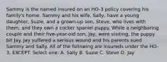 Sammy is the named insured on an HO-3 policy covering his family's home. Sammy and his wife, Sally, have a young daughter, Suzie, and a grown-up son, Steve, who lives with them, and they own a cocker spaniel puppy. While a neighboring couple and their five-year-old son, Jay, were visiting, the puppy bit Jay. Jay suffered a serious wound and his parents sued Sammy and Sally. All of the following are insureds under the HO-3, EXCEPT: Select one: A. Sally B. Suzie C. Steve D. Jay