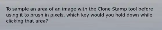 To sample an area of an image with the Clone Stamp tool before using it to brush in pixels, which key would you hold down while clicking that area?