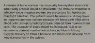 A sample of bone marrow has unusually low myeloid stem cells. What body process would be impaired? The immune response to infection since megakaryocytes are precursors for leukocytes that fight infection. The patient would be anemic and may have an impaired immune system because red blood cells AND white blood cells (except lymphocytes) are derived from myeloid stem cells. The viscosity of blood would be increased, due to an increase in platelet number and enhanced blood clotting. Oxygen delivery to tissues because red blood cells develop from megakaryocytes in the spleen.