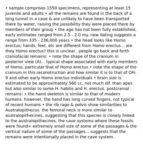 • sample comprises 1550 specimens, representing at least 15 juvenile and adults • all the remains are found in the back of a long tunnel in a cave & are unlikely to have been transported there by water, raising the possibility they were placed there by members of their group • the age has not been fully established. early estimates ranged from 2.5 - 2.0 my. new dating suggests a range from 335 - 236,000 years • the head looks like Homo erectus; hands, feet, etc are different from Homo erectus... are they Homo erectus? this is unclear.. people go back and forth craniofacial remains: • note the shape of the cranium in posterior view (A)... typical shape associated with early members of Homo, particular that of Homo erectus • note the shape of the cranium in this reconstruction and how similar it is to that of OH-9 and other early Homo erectus individuals • brain size is estimated to be approximately 560 cc, not much dif. than apes but also similar to some H. habilis and H. erectus. postcranial remains: • the hand skeleton is similar to that of modern humans. however, the hand has long curved fingers, not typical of recent humans • the rib rage & pelvis show similarities to Australopithecus. the femoral neck is more similar to australopithecines, suggesting that this species is closely linked to the australopithecines. the cave systems where these fossils were found= extremely small size of some of the passages & the vertical nature of some of the passages... suggests that the remains were intentionally placed in the cave system.