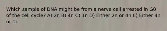 Which sample of DNA might be from a nerve cell arrested in G0 of the <a href='https://www.questionai.com/knowledge/keQNMM7c75-cell-cycle' class='anchor-knowledge'>cell cycle</a>? A) 2n B) 4n C) 1n D) Either 2n or 4n E) Either 4n or 1n