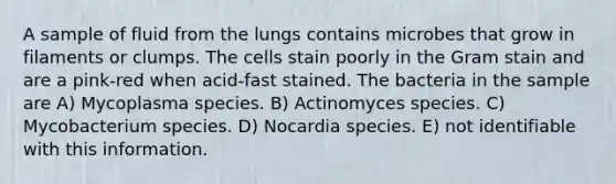 A sample of fluid from the lungs contains microbes that grow in filaments or clumps. The cells stain poorly in the Gram stain and are a pink-red when acid-fast stained. The bacteria in the sample are A) Mycoplasma species. B) Actinomyces species. C) Mycobacterium species. D) Nocardia species. E) not identifiable with this information.