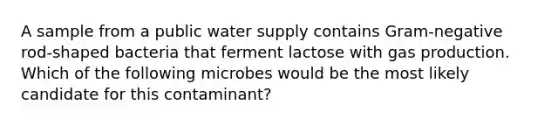 A sample from a public water supply contains Gram-negative rod-shaped bacteria that ferment lactose with gas production. Which of the following microbes would be the most likely candidate for this contaminant?