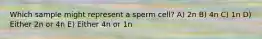 Which sample might represent a sperm cell? A) 2n B) 4n C) 1n D) Either 2n or 4n E) Either 4n or 1n