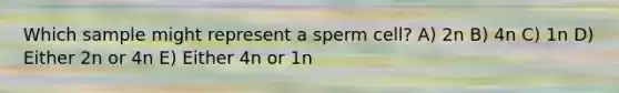 Which sample might represent a sperm cell? A) 2n B) 4n C) 1n D) Either 2n or 4n E) Either 4n or 1n