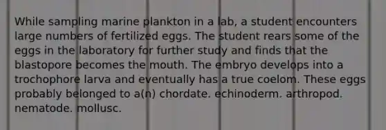 While sampling marine plankton in a lab, a student encounters large numbers of fertilized eggs. The student rears some of the eggs in the laboratory for further study and finds that the blastopore becomes <a href='https://www.questionai.com/knowledge/krBoWYDU6j-the-mouth' class='anchor-knowledge'>the mouth</a>. The embryo develops into a trochophore larva and eventually has a true coelom. These eggs probably belonged to a(n) chordate. echinoderm. arthropod. nematode. mollusc.