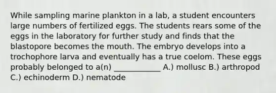 While sampling marine plankton in a lab, a student encounters large numbers of fertilized eggs. The students rears some of the eggs in the laboratory for further study and finds that the blastopore becomes the mouth. The embryo develops into a trochophore larva and eventually has a true coelom. These eggs probably belonged to a(n) ____________ A.) mollusc B.) arthropod C.) echinoderm D.) nematode