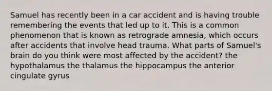 Samuel has recently been in a car accident and is having trouble remembering the events that led up to it. This is a common phenomenon that is known as retrograde amnesia, which occurs after accidents that involve head trauma. What parts of Samuel's brain do you think were most affected by the accident? the hypothalamus the thalamus the hippocampus the anterior cingulate gyrus