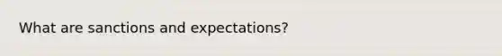 What are sanctions and expectations?