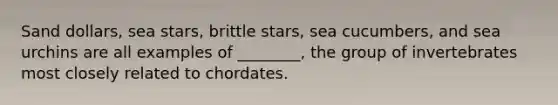 Sand dollars, sea stars, brittle stars, sea cucumbers, and sea urchins are all examples of ________, the group of invertebrates most closely related to chordates.