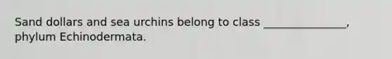 Sand dollars and sea urchins belong to class _______________, phylum Echinodermata.