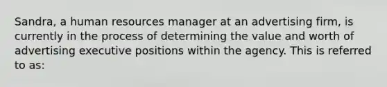 Sandra, a human resources manager at an advertising firm, is currently in the process of determining the value and worth of advertising executive positions within the agency. This is referred to as: