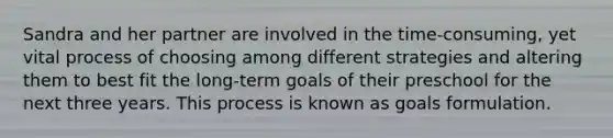 Sandra and her partner are involved in the time-consuming, yet vital process of choosing among different strategies and altering them to best fit the long-term goals of their preschool for the next three years. This process is known as goals formulation.