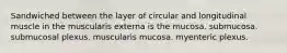 Sandwiched between the layer of circular and longitudinal muscle in the muscularis externa is the mucosa. submucosa. submucosal plexus. muscularis mucosa. myenteric plexus.