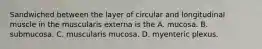 Sandwiched between the layer of circular and longitudinal muscle in the muscularis externa is the A. mucosa. B. submucosa. C. muscularis mucosa. D. myenteric plexus.