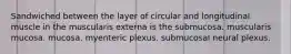 Sandwiched between the layer of circular and longitudinal muscle in the muscularis externa is the submucosa. muscularis mucosa. mucosa. myenteric plexus. submucosal neural plexus.