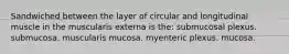 Sandwiched between the layer of circular and longitudinal muscle in the muscularis externa is the: submucosal plexus. submucosa. muscularis mucosa. myenteric plexus. mucosa.